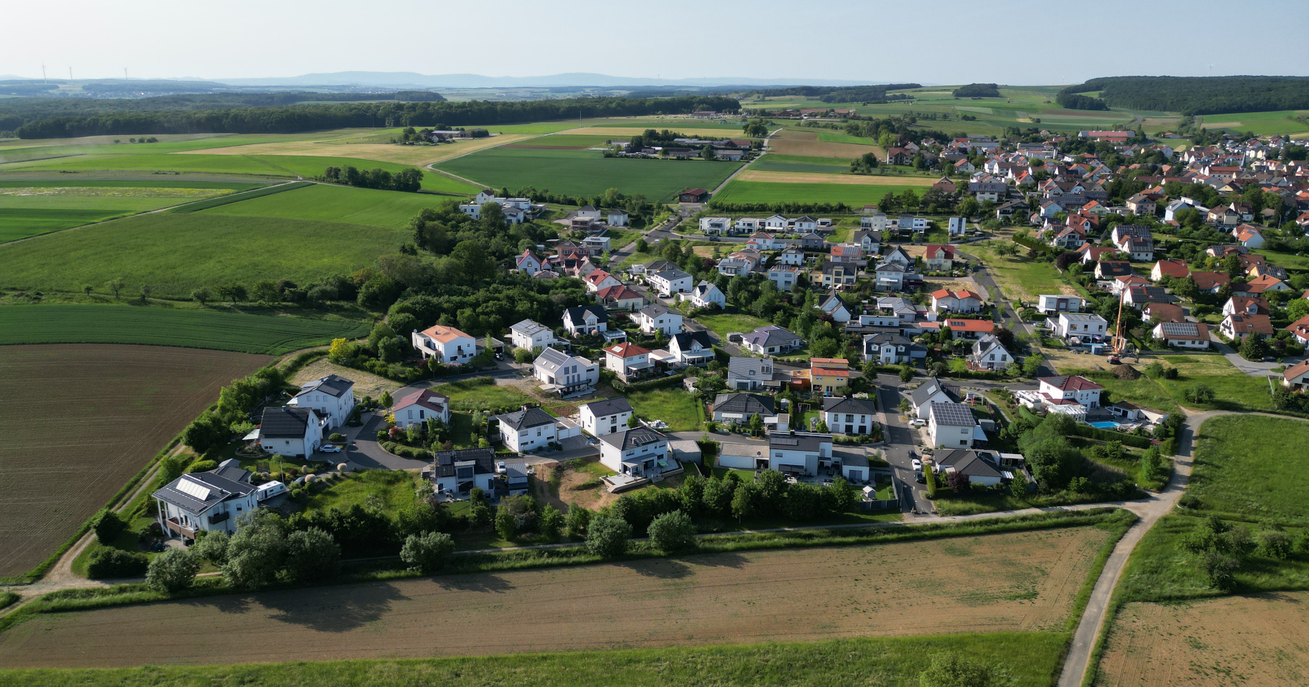 Die Laushecke in Hambach